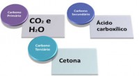 /album/www-profrafaelcoutinho-com-br/oxidacao-20energetica-20de-20alcenos-jpg/